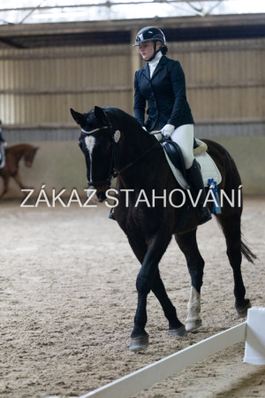 ZH1 hobby (1535).JPG