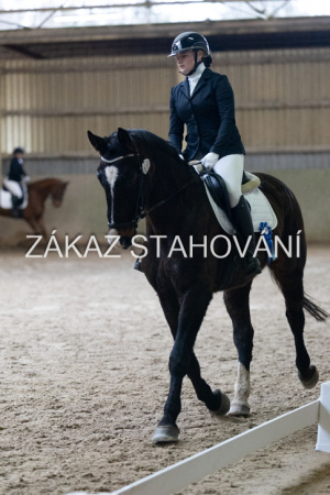 ZH1 hobby (1536).JPG