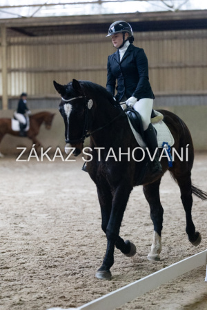 ZH1 hobby (1537).JPG