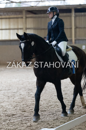 ZH1 hobby (1538).JPG