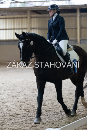 ZH1 hobby (1539).JPG