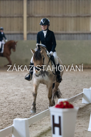 ZH1 hobby (1540).JPG