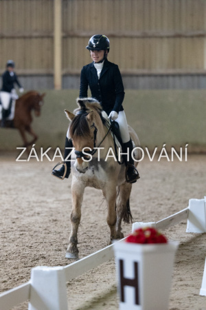 ZH1 hobby (1541).JPG