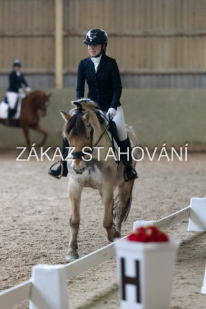 ZH1 hobby (1542).JPG