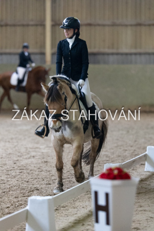 ZH1 hobby (1543).JPG