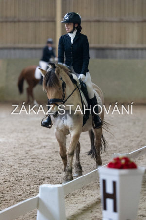 ZH1 hobby (1544).JPG