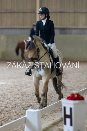 ZH1 hobby (1545).JPG