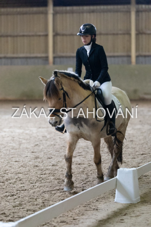 ZH1 hobby (1546).JPG