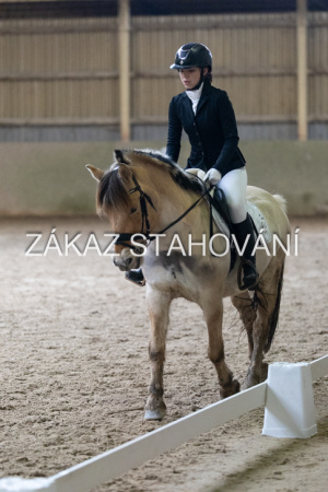 ZH1 hobby (1547).JPG