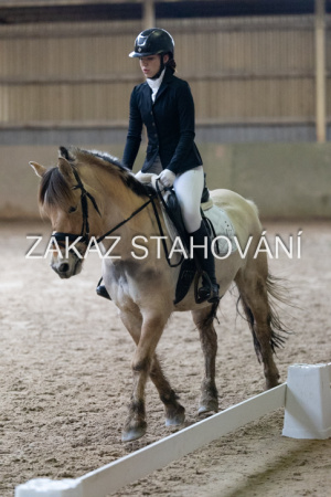 ZH1 hobby (1548).JPG