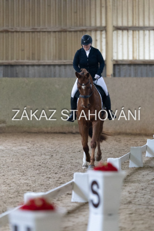 ZH1 hobby (1549).JPG