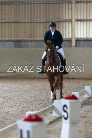 ZH1 hobby (1550).JPG