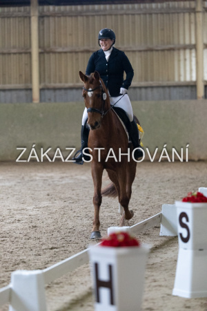 ZH1 hobby (1551).JPG