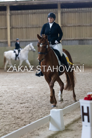 ZH1 hobby (1552).JPG