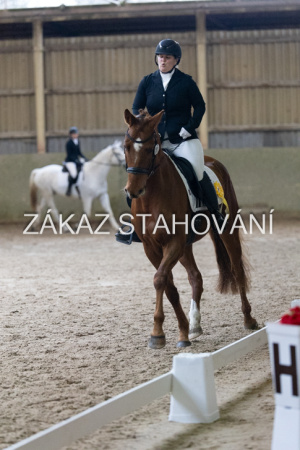 ZH1 hobby (1553).JPG