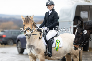 ZH1 hobby (1562).JPG