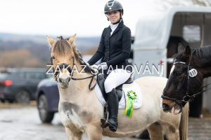 ZH1 hobby (1563).JPG