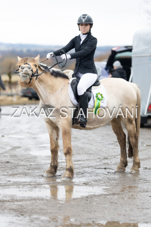 ZH1 hobby (1564).JPG