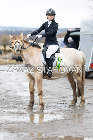 ZH1 hobby (1565).JPG