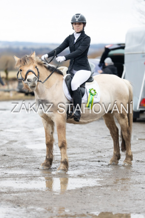 ZH1 hobby (1566).JPG