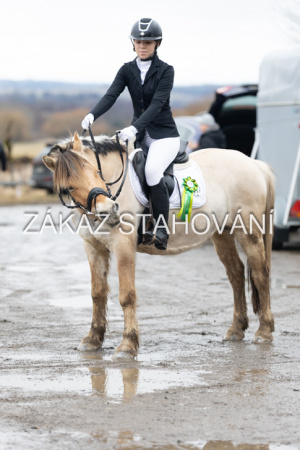 ZH1 hobby (1567).JPG