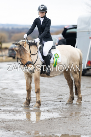 ZH1 hobby (1568).JPG