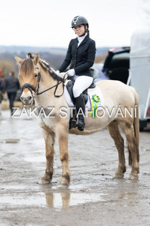 ZH1 hobby (1569).JPG