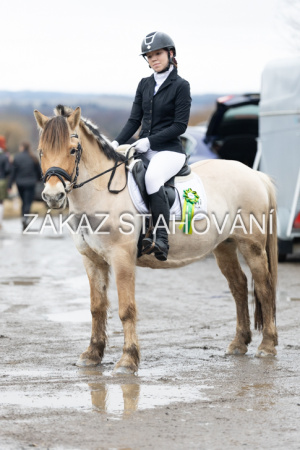 ZH1 hobby (1570).JPG