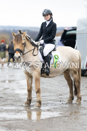 ZH1 hobby (1571).JPG