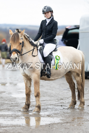 ZH1 hobby (1573).JPG