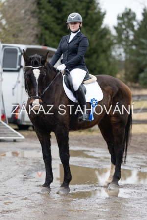 ZH1 hobby (1574).JPG