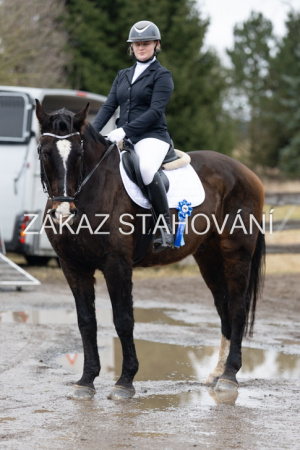 ZH1 hobby (1575).JPG