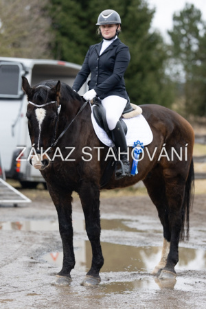 ZH1 hobby (1576).JPG