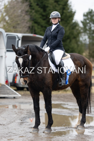 ZH1 hobby (1577).JPG