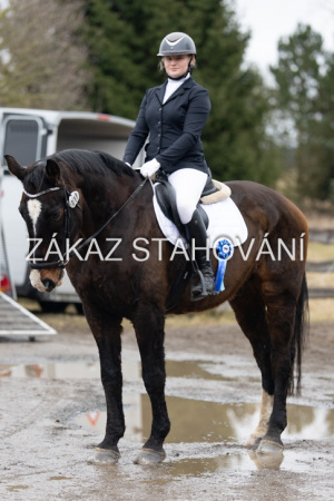 ZH1 hobby (1578).JPG