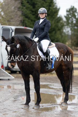 ZH1 hobby (1579).JPG